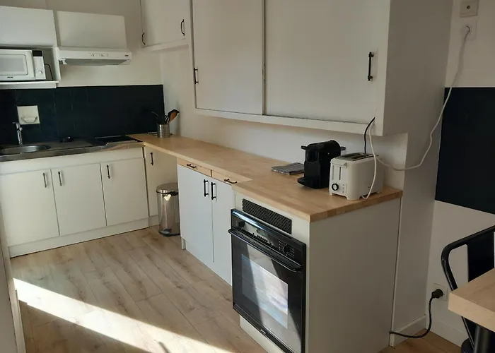 Beau T3 Avec Jardin Hyper Centre Proche Gare * Angers